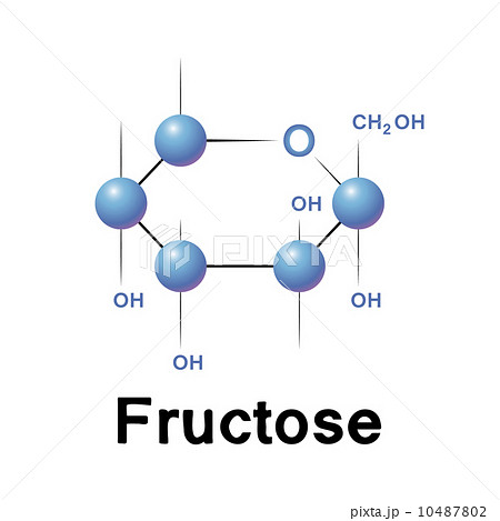 Structural chemical formula and model of fructose Vector Image