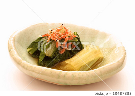 小松菜のお浸し　和食　白背景 10487883