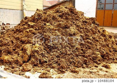 Big pile of manure, as background Big pile of manure, as background 10488104