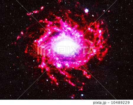 コスモ☆大宇宙 コスモ☆大宇宙 10489229