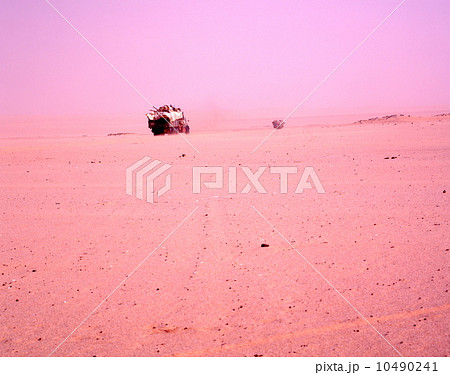 砂漠のドライブ 10490241