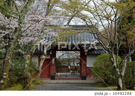 常照寺、吉野門 常照寺、吉野門 10492288