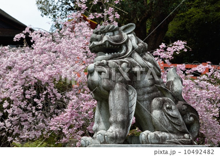 建勲神社の獅子 10492482