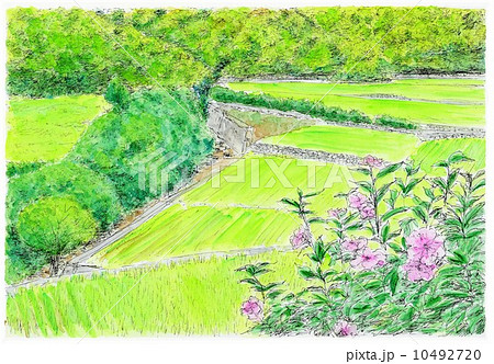 田舎の夏風景のイラスト素材 10492720 Pixta