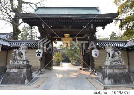 京都　北野天満宮　楼門 10492850