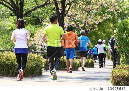 ジョギング・マラソン(皇居ラン)の画像 ジョギング・マラソン(皇居ラン)の画像 10493615