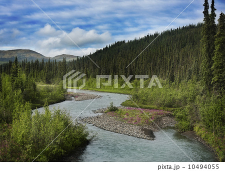 Mountains In Alaska Mountains In Alaska 10494055