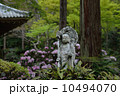 三千院のお地蔵様 10494070