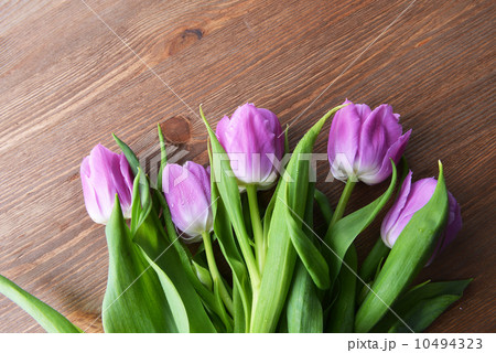 pink tulips 10494323