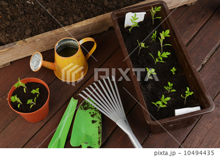 Gardening tools Gardening tools 10494435