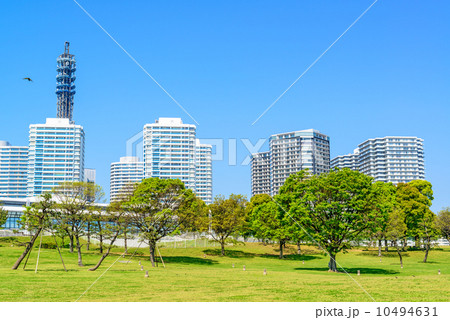 臨港パーク(横浜市西区、みなとみらい) 10494631