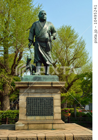 上野恩賜公園・西郷隆盛像 10495241