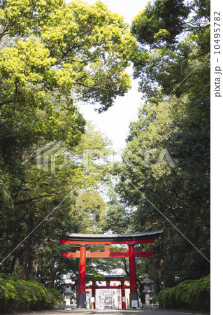 大宮八幡宮 10495782