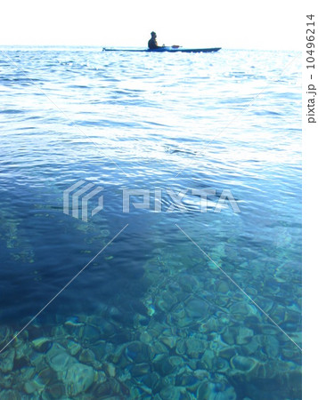 透ける海底in粟島 透ける海底in粟島 10496214