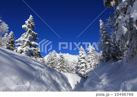 新穂高ロープウェイと穂高連峰 10496766