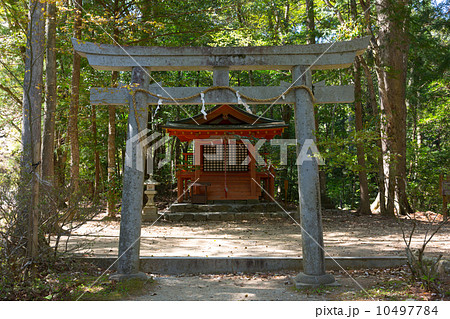 熊野古道　発心門王子 10497784