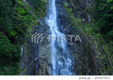 那智の大滝 10497952