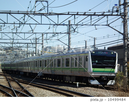 横浜線　Ｅ233系　東神奈川駅 10499484