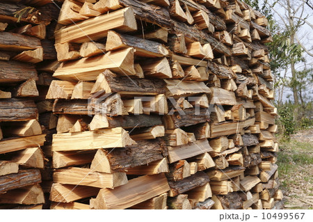 積んだ薪 積んだ薪 10499567