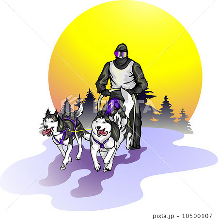 team of Siberian Huskies against a landscape 10500107