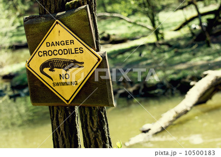 Danger crocodiles, no swimming Danger crocodiles, no swimming 10500183
