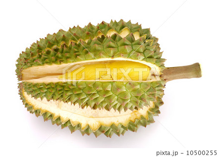 Fresh Durian isolated 10500255