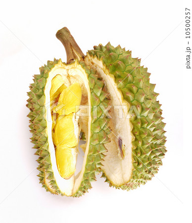 Fresh Durian isolated 10500257