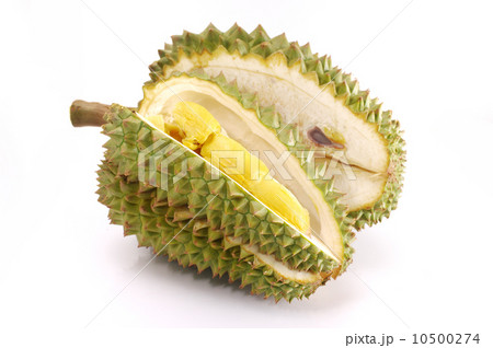 Fresh Durian isolated 10500274
