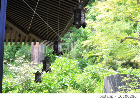 灯篭と緑 灯篭と緑 10500286