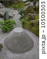 宝泉院の庭園 10500303