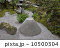 宝泉院の庭園 10500304