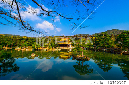 世界遺産　金閣寺 10500307