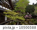 宝泉院の鶴亀庭園 10500388