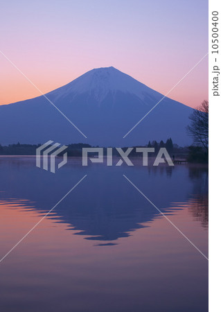 田貫湖からの富士山 10500400