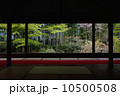 宝泉院、和室と庭園 10500508