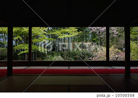 宝泉院、和室と庭園 10500508