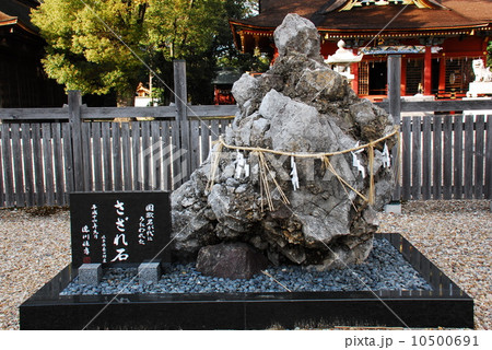 さざれ石（伊賀八幡宮＝愛知県岡崎市） 10500691