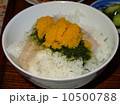生からすみ丼 10500788
