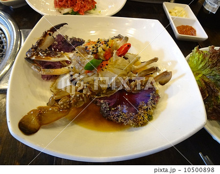 カンジャンケジャン 10500898