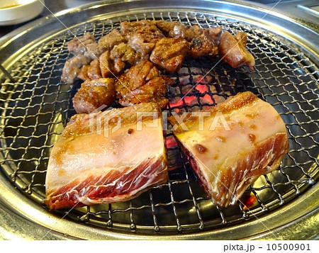 骨付きカルビ 骨付きカルビ 10500901