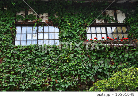 壁面緑化 10501049