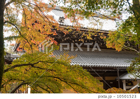 南禅寺 法堂 南禅寺 法堂 10501523