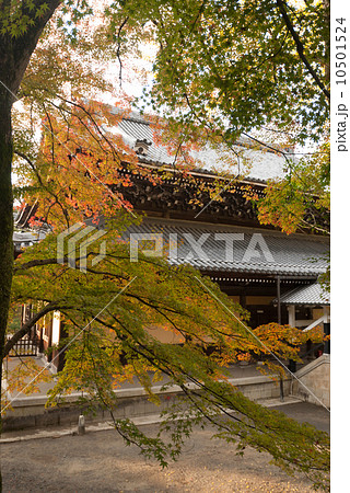 南禅寺　法堂 10501524