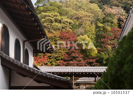 南禅寺 南禅寺 10501537