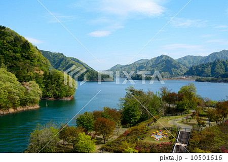 新緑の宮ケ瀬湖 2014 新緑の宮ケ瀬湖 2014 10501616