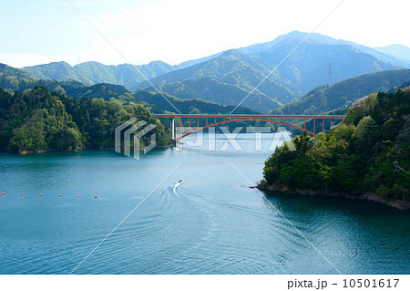 新緑の宮ケ瀬湖　2014 10501617