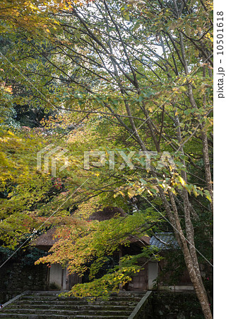 法然院　山門 10501618