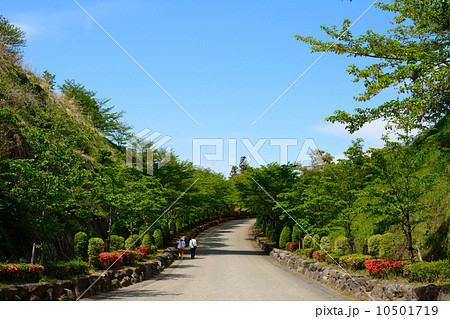 新緑のあいかわ公園 2014 新緑のあいかわ公園 2014 10501719