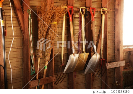 牧場 牧場 10502386