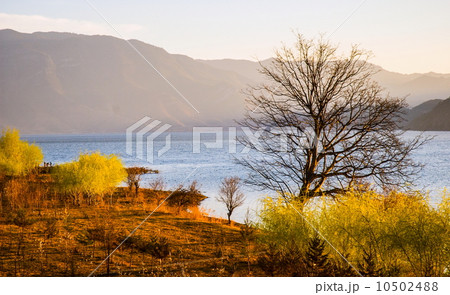 Yunnan scene-Lugu Lake bank Yunnan scene-Lugu Lake bank 10502488